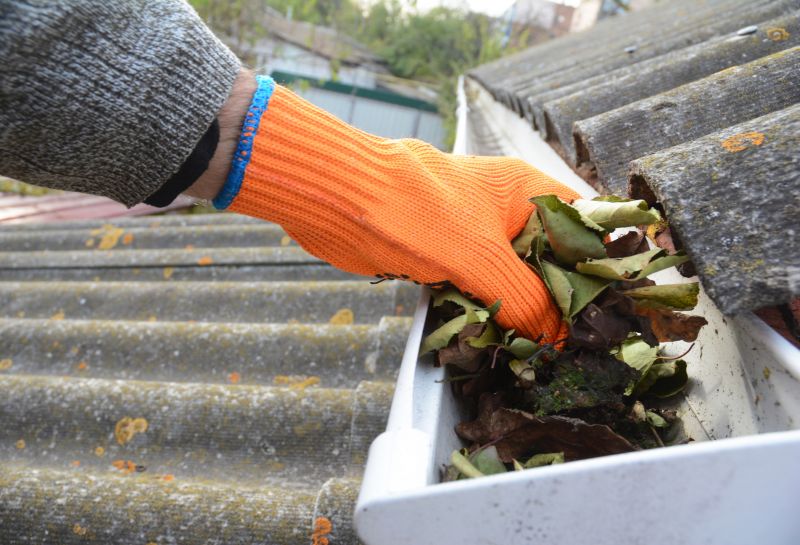 Gutter Cleaning in Monmouth County, NJ