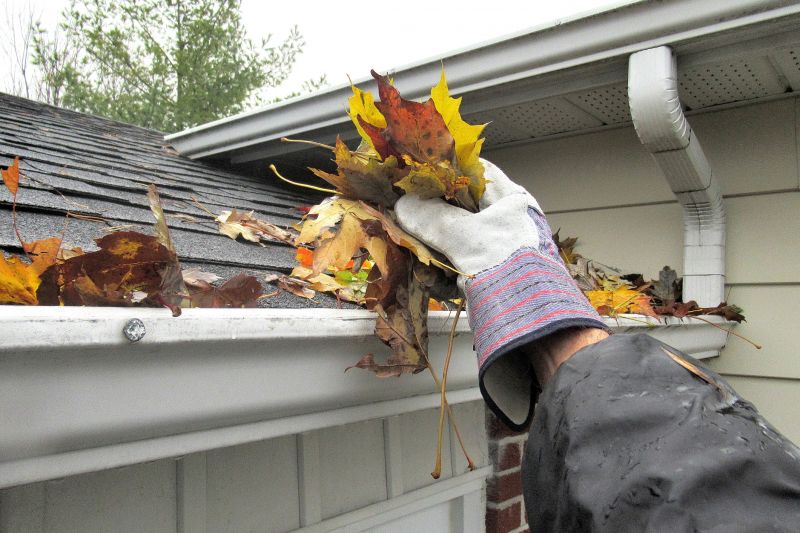 Gutter Cleaning in Fredericksburg, VA