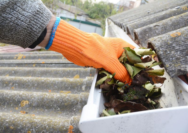 Gutter Leaves Removal in Monmouth County, NJ