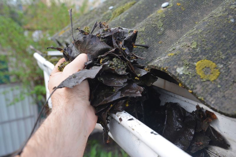 Gutter Pine Needle Removal in Arvada, CO