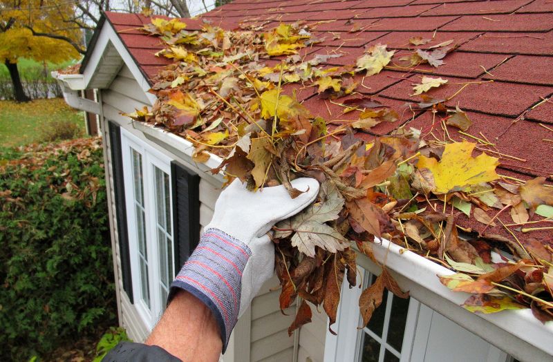 Roof Gutter Cleaning in Pittsburgh, PA